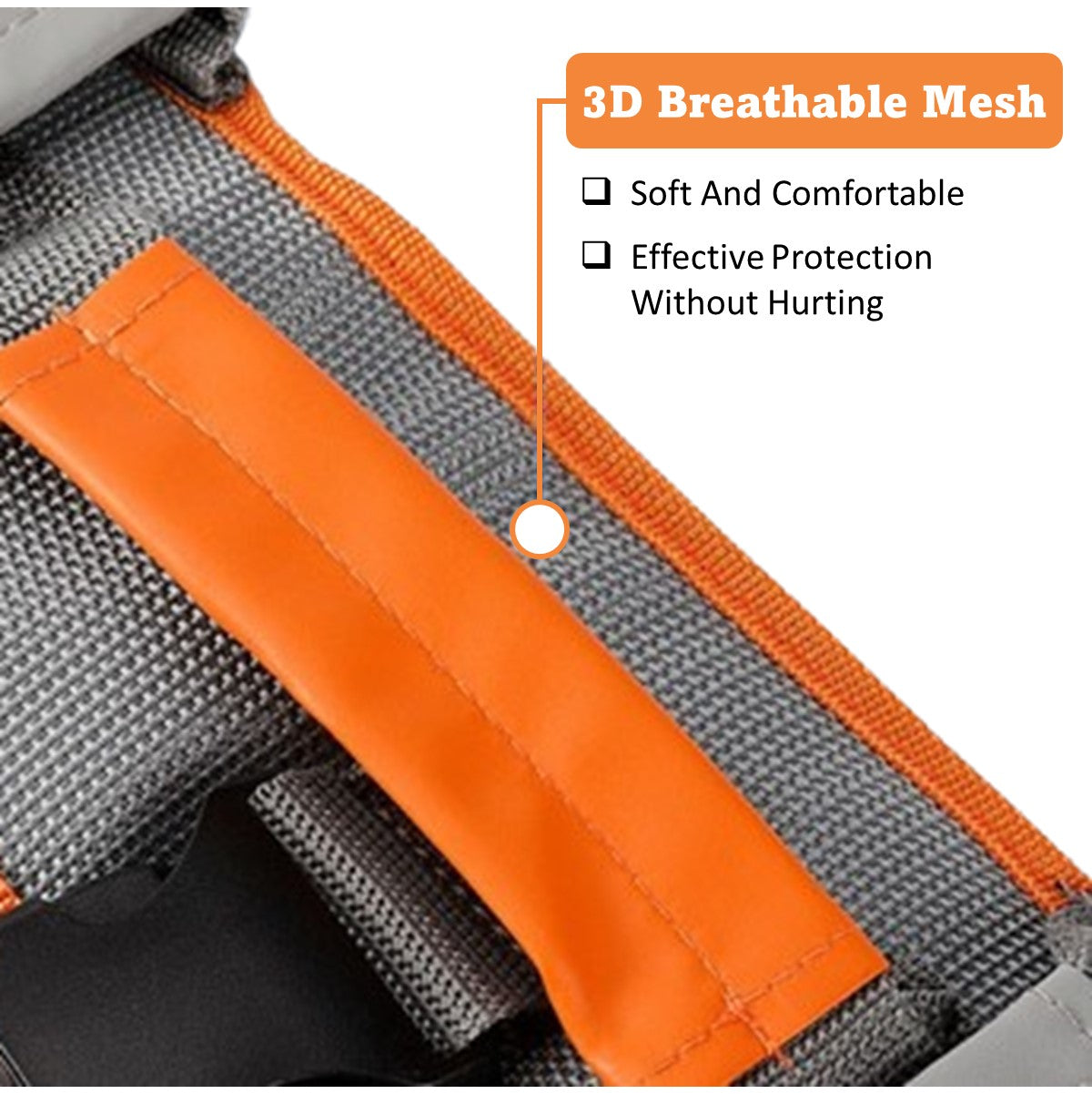 Transfer Gait Belt / Secure Walking for Patients Ambulation